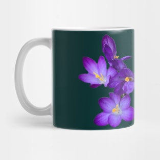 Garland of Purple Crocuses Mug